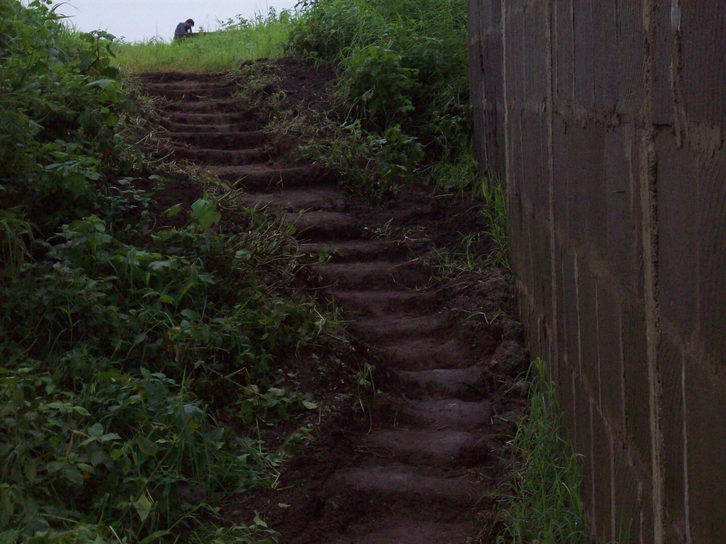 A Stairway Pathway With Plants on Either Sides