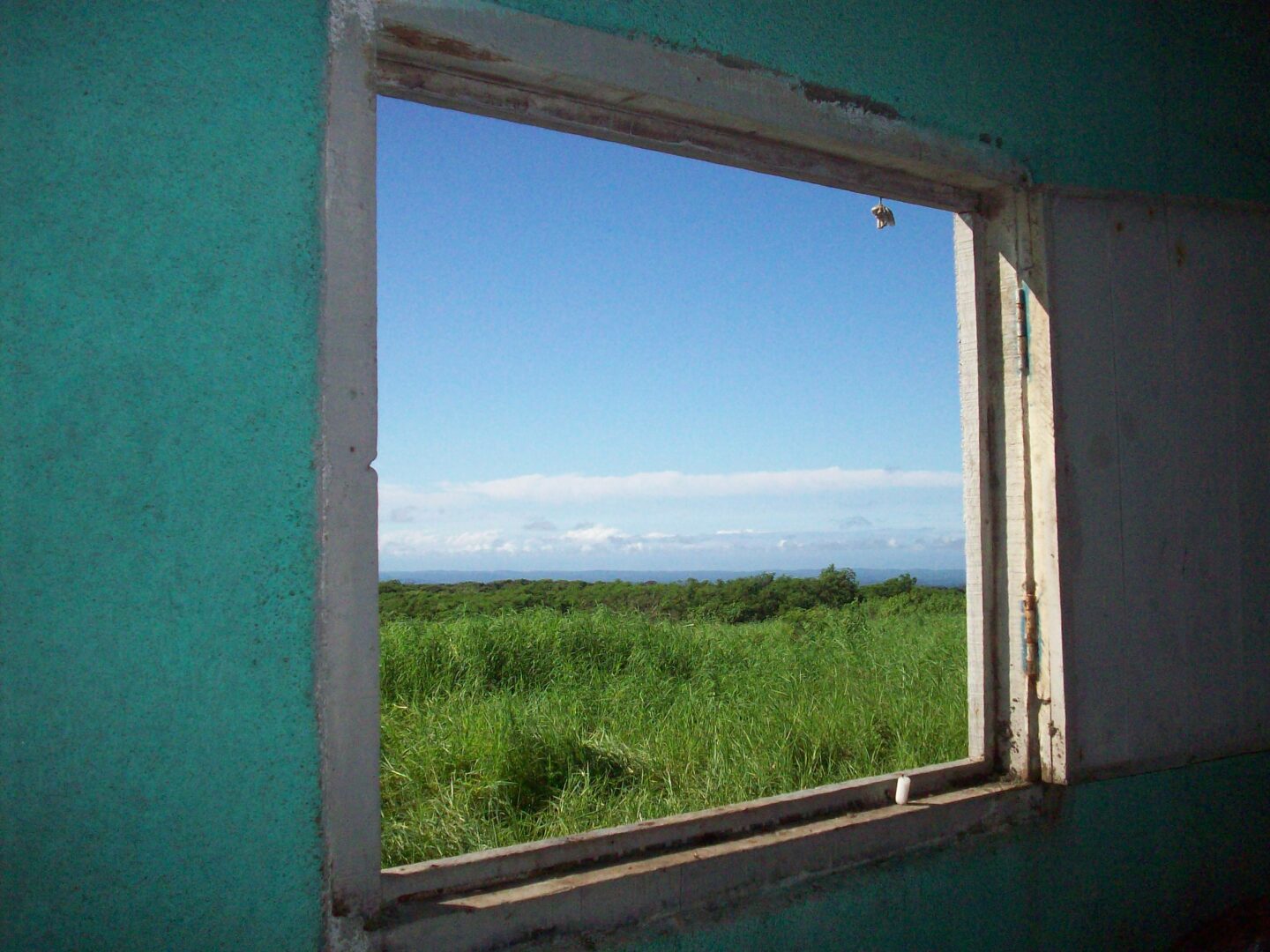 A Tattered Window Pane With a Teal Wall